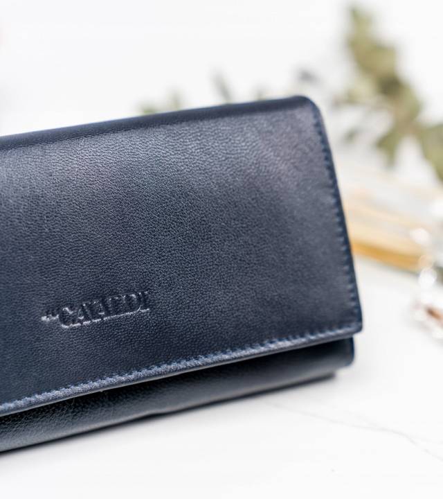 Кошелек женский Cavaldi RD-12-GCL-NAVY Кошелек женский Cavaldi RD-12-GCL-NAVY